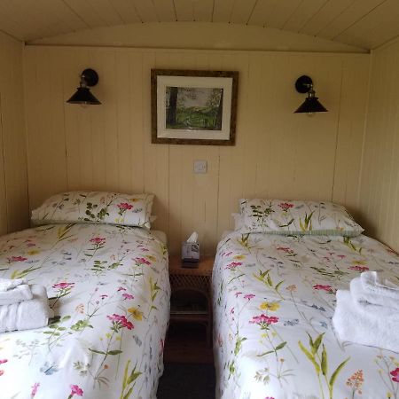 Rhydydefaid Cwt Clyd - Cosy Hut Villa Bala Exteriör bild