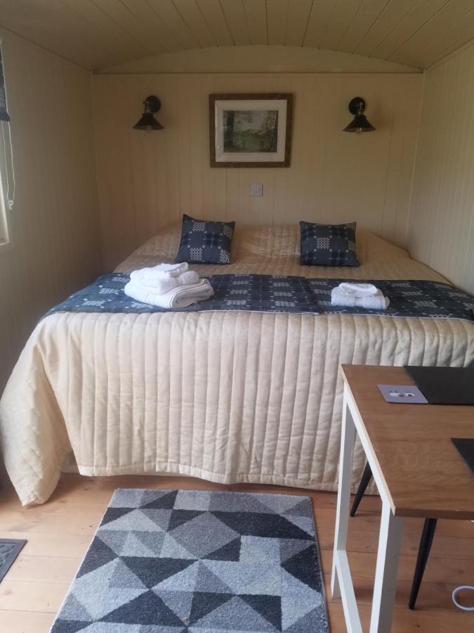 Rhydydefaid Cwt Clyd - Cosy Hut Villa Bala Exteriör bild
