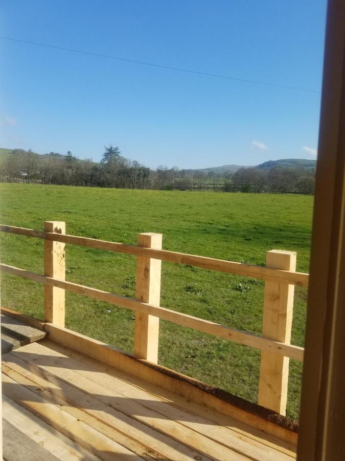 Rhydydefaid Cwt Clyd - Cosy Hut Villa Bala Exteriör bild