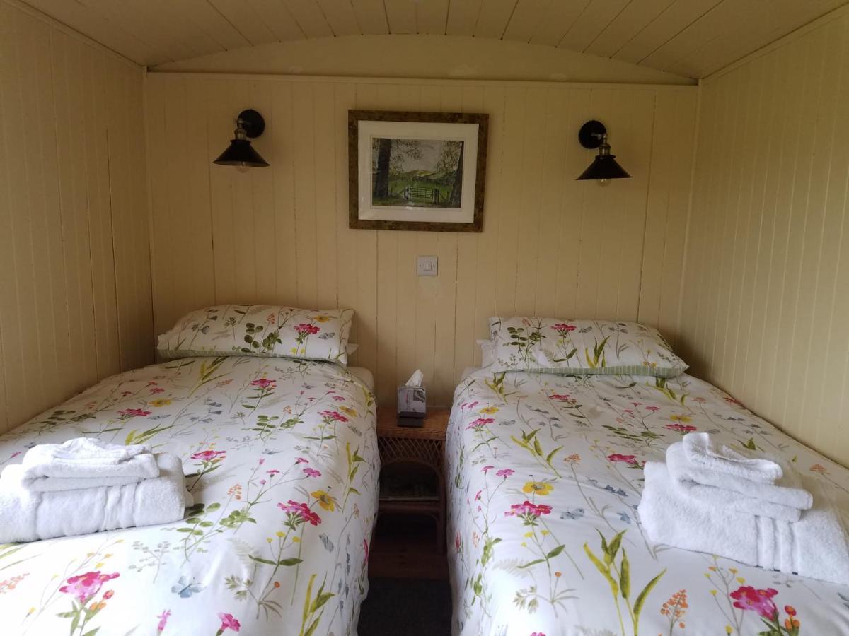 Rhydydefaid Cwt Clyd - Cosy Hut Villa Bala Exteriör bild